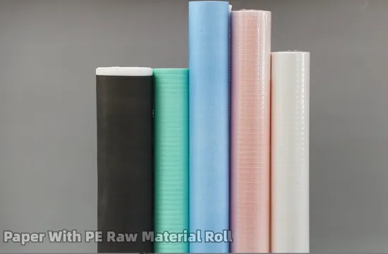 Different Size Disposable Examination Bedsheet Waterproof Bedsheet for Exam Massage Beauty Salon 